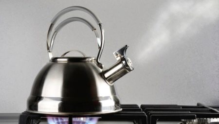 Stainless steel kettles for gas stoves: ranking of the best models and choice
