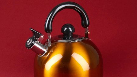 Whistling kettles: types, manufacturers overview and selection features