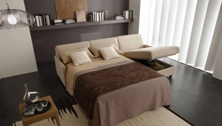 Sofa di bilik tidur: jenis, ciri pilihan dan penempatan