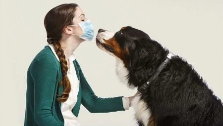 Υποαλλεργικά σκυλιά: μια λίστα των λαϊκών φυλών