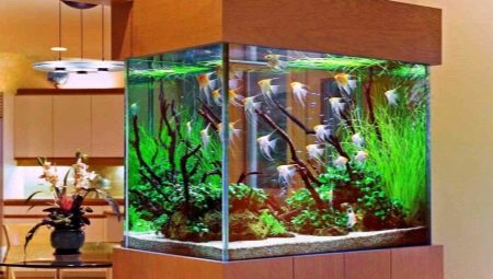 Umjetne biljke za akvarij: primjena, prednosti i nedostaci