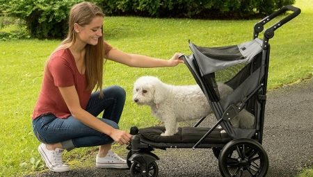 Kinderwagens voor honden: soorten, kenmerken naar keuze en gebruik