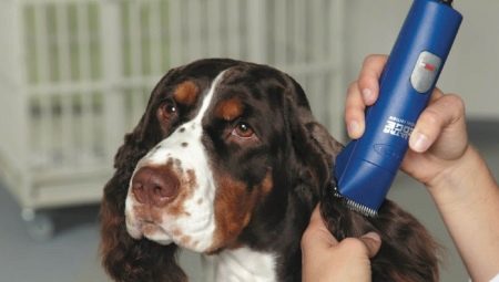 Tosquiadeiras para cães: variedades, seleção e aplicação
