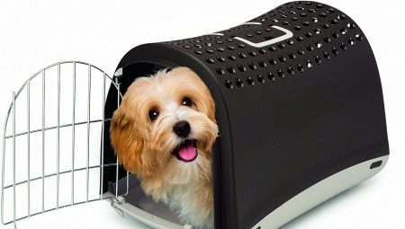 Transporte para cães: finalidade e tipos