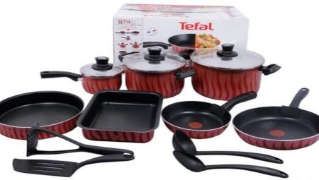 Utensilios de cocina Tefal: una variedad de modelos