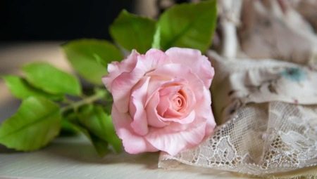 Trandafiri reci din porțelan: caracteristici de fabricație
