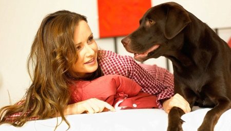 Dog language: how do dogs communicate with the owner and do they understand him?