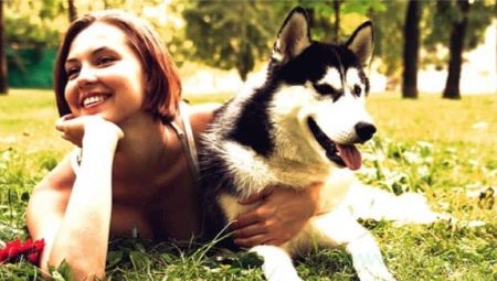 Companion Dogs: สายพันธุ์ยอดนิยมและคุณสมบัติที่เลือก