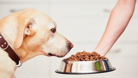 Nourriture sèche pour grands chiens