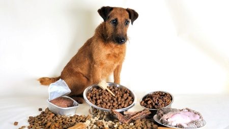 Premium suha hrana za pse