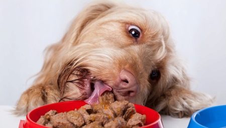 Превъзходна мокра храна за кучета