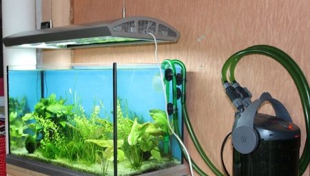 Išoriniai akvariumo filtrai: prietaisas, pasirinkimas ir įdiegimas