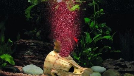 Beluchting van water in een aquarium: methoden en regels