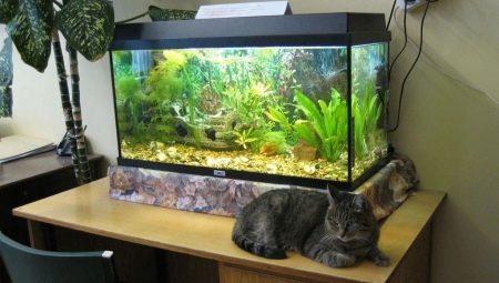 Akvárium 60 litrov: veľkosť, dizajn a výber rýb