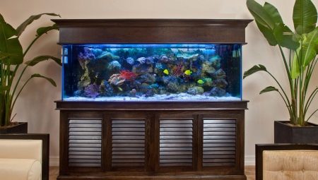 Akvarier pr. 100 liter: størrelser, hvor mange fisk kan du holde, og hvilke der er egnede?