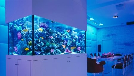Akvarier på 300 liter: dimensioner, valg og udstyr