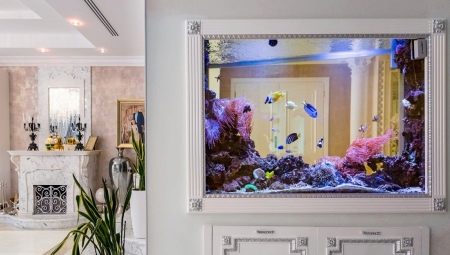 Aquaria in de muur: variëteiten en ontwerpaanbevelingen