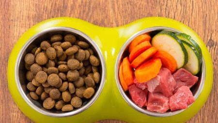 Čo je lepšie: prírodné alebo suché krmivo pre psov?