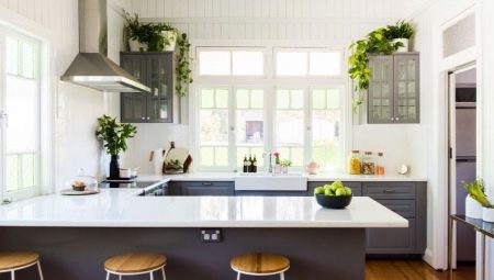 Flowers for the kitchen: purpose, variety, choice and placement