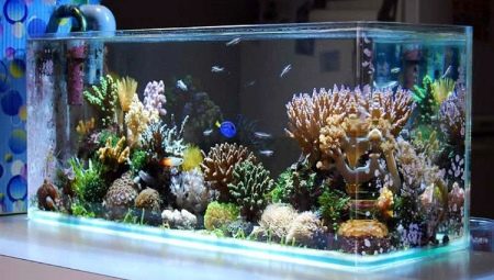 Výzdoba pre akvárium: typy a použitie