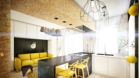 Mutfak-oturma odasının tasarımı 16 sq. m