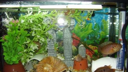 Долен филтър за аквариум: цел, плюсове и минуси