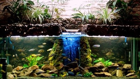 Fytofiltre pre akvárium: účel a rozmanitosť, výroba domácich majstrov