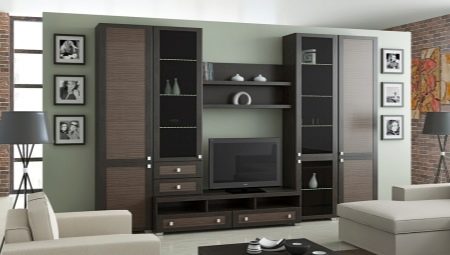 Skĺzne do obývacej izby: rôzne modely a odporúčania na výber