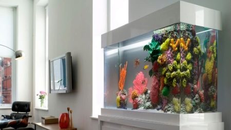 Umjetni akvarij: vrste i primjene