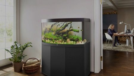 How to transport an aquarium over long distances or to another apartment?