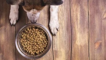 Krmivo pre psov s nízkym obsahom bielkovín