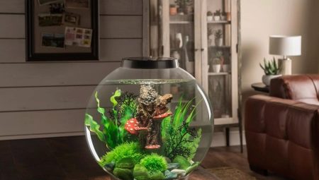 Okrugli akvarijumi: veličine, izbor i dizajn