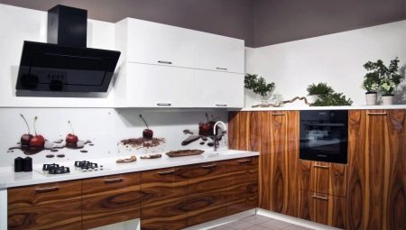 Kaplama mutfaklar: özellikleri, çeşitleri ve ilginç örnekler