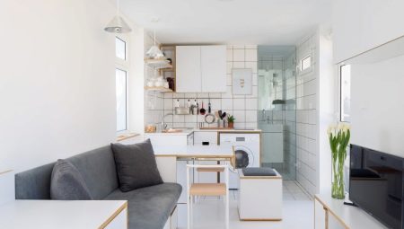 Mini stüdyo için mutfak: iç tasarım fikirleri