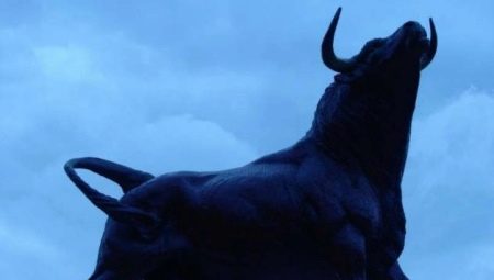 Muž Bull: roky narodenia, vlastnosti a kompatibilita