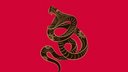 Мъжки змия: Характеристика и съвместимост