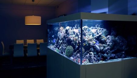 Por que os aquários não podem ser enchidos com água fervida gelada?