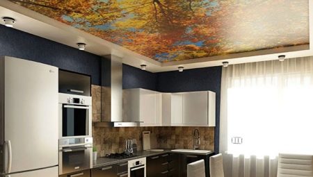 Ceilings in the kitchen: varieties, choices and examples