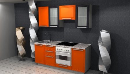 Tiesioginės virtuvės 2 metrai: tipai ir dizaino variantai