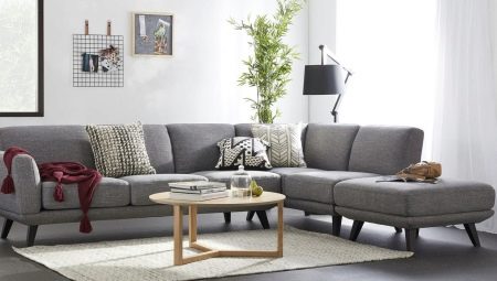 Pilka sofa gyvenamojo kambario interjere: vaizdai, su kuo derinti ir kaip pasirinkti?