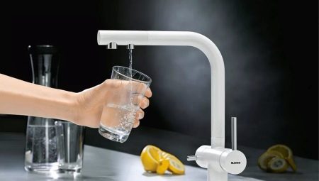 Robinete de bucătărie cu filtru de apă: descriere, tipuri și selecție