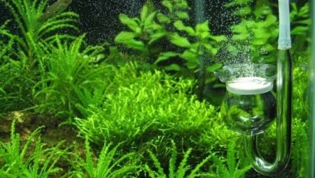 CO2 voor een aquarium: beschrijving, variëteiten, selectie en fabricage
