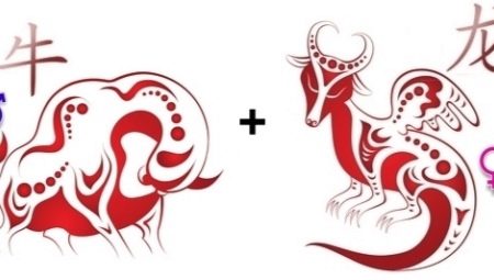 Tương thích giữa Bull và Dragon trong tình bạn, công việc và tình yêu