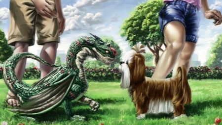 Compatibilidade de dragões e cães em diferentes aspectos da vida