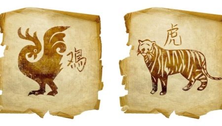 Rooster and Tiger compatibility in friendship, work and love