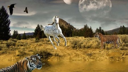 Compatibilità con Tiger e Horse in amicizia, lavoro e amore