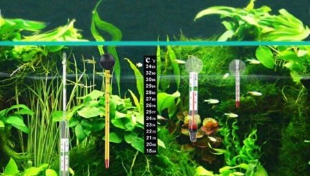 Termômetros para um aquário: o que são e como escolher?