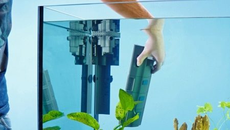 Вътрешни филтри за аквариума: описание, избор и инсталация