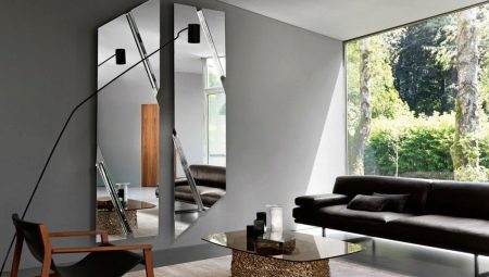 Mirrors in the interior of the living room: features, varieties, selection and installation