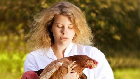 Women Roosters: characteristics, achievements in work and personal life